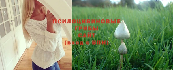 мяу мяу мука Армянск