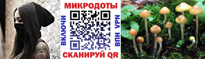 как найти   Октябрьск  Галлюциногенные грибы мухоморы 